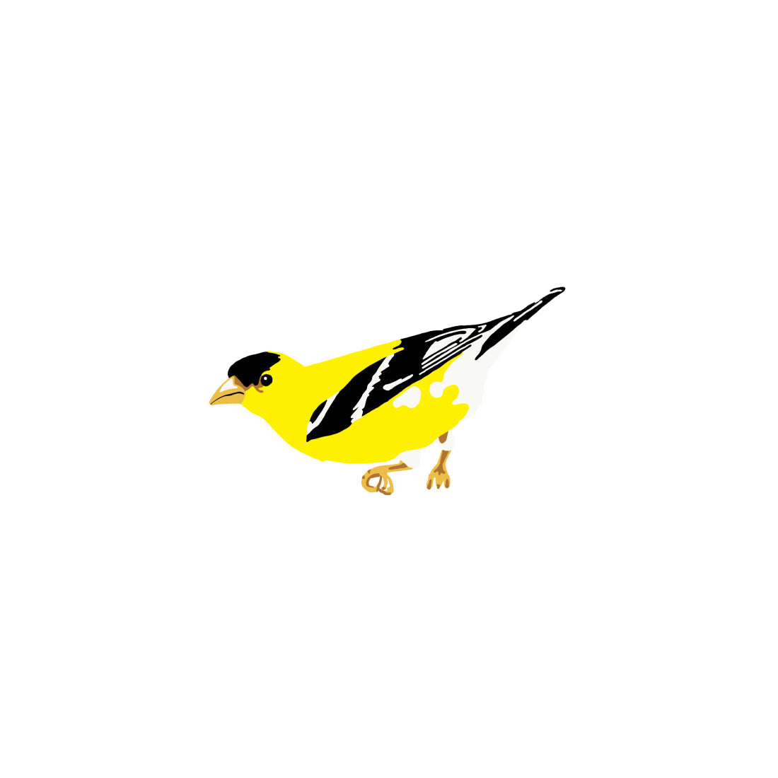 American Goldfinch