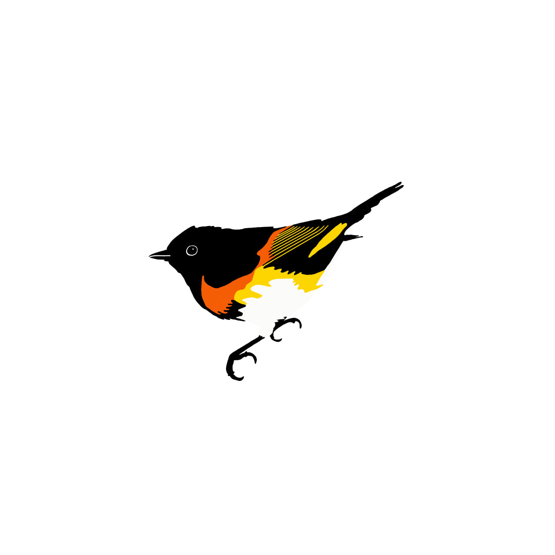 American Redstart