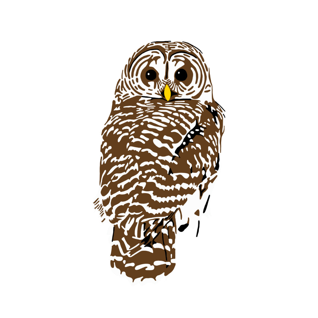 Barred Owl