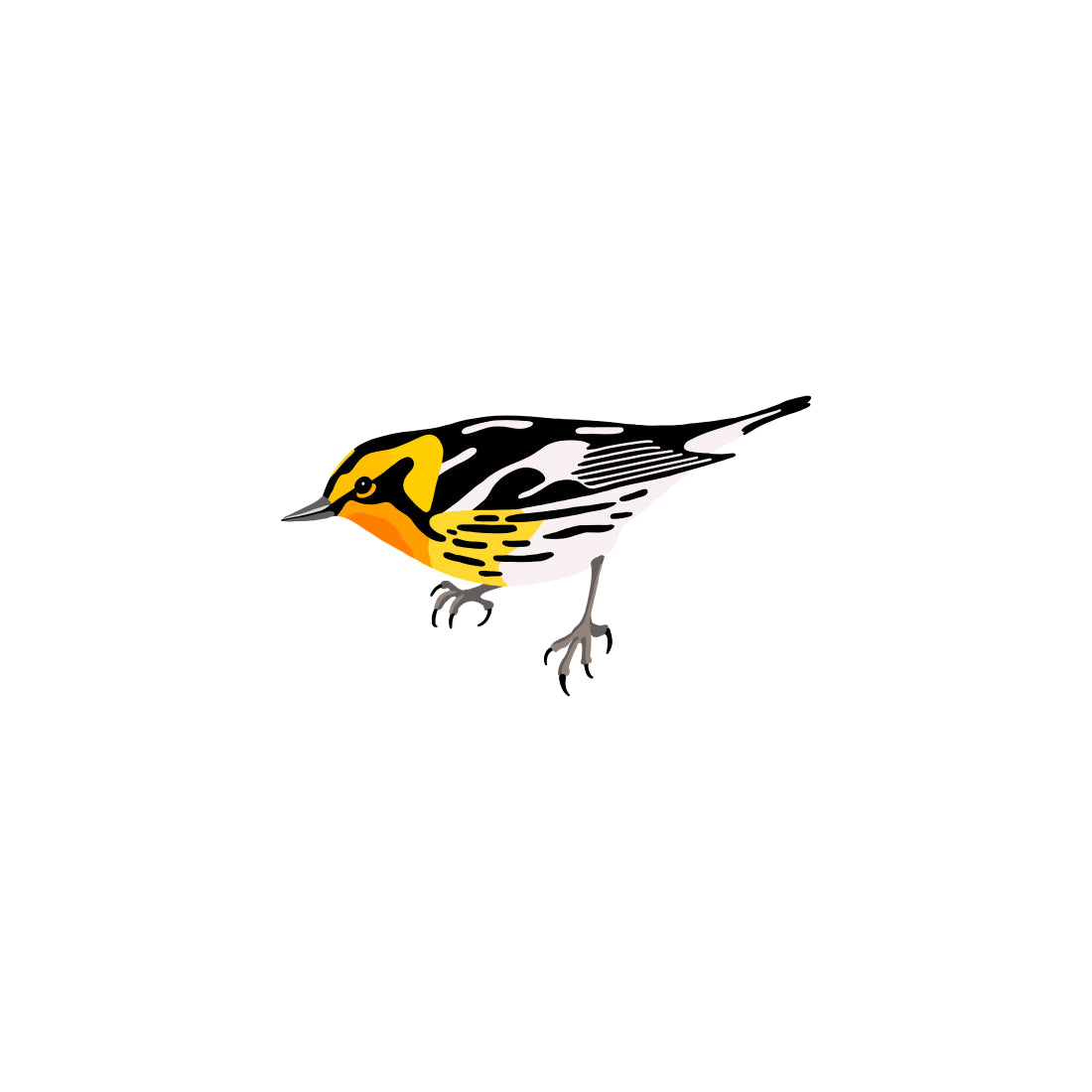 Blackburnian Warbler