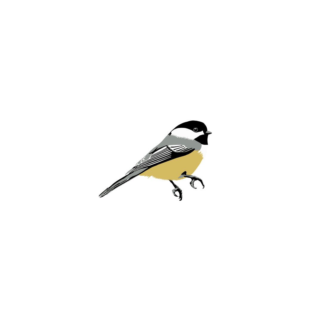Carolina Chickadee