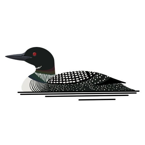 Common Loon