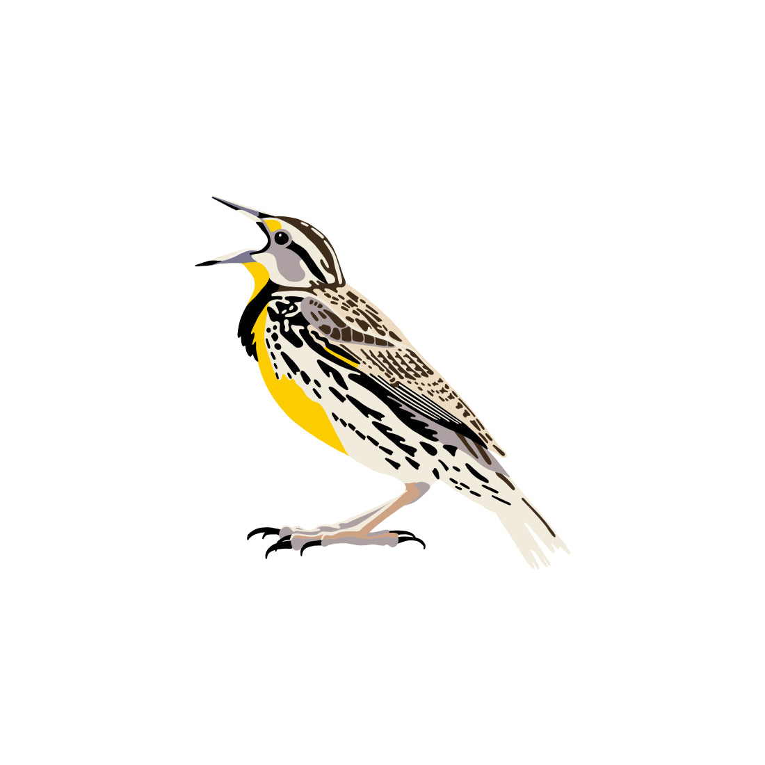 Eastern Meadowlark