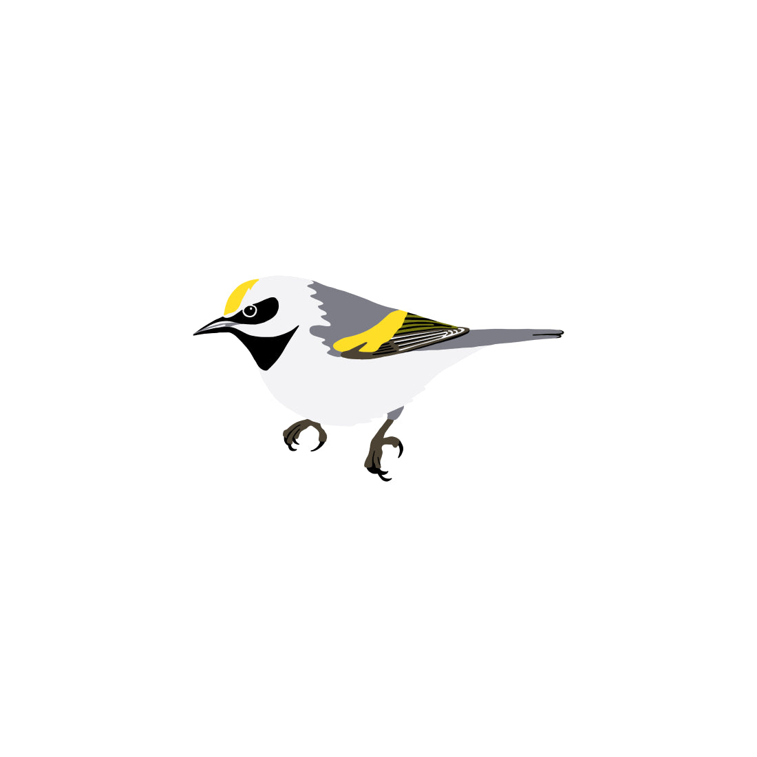 Golden-winged Warbler