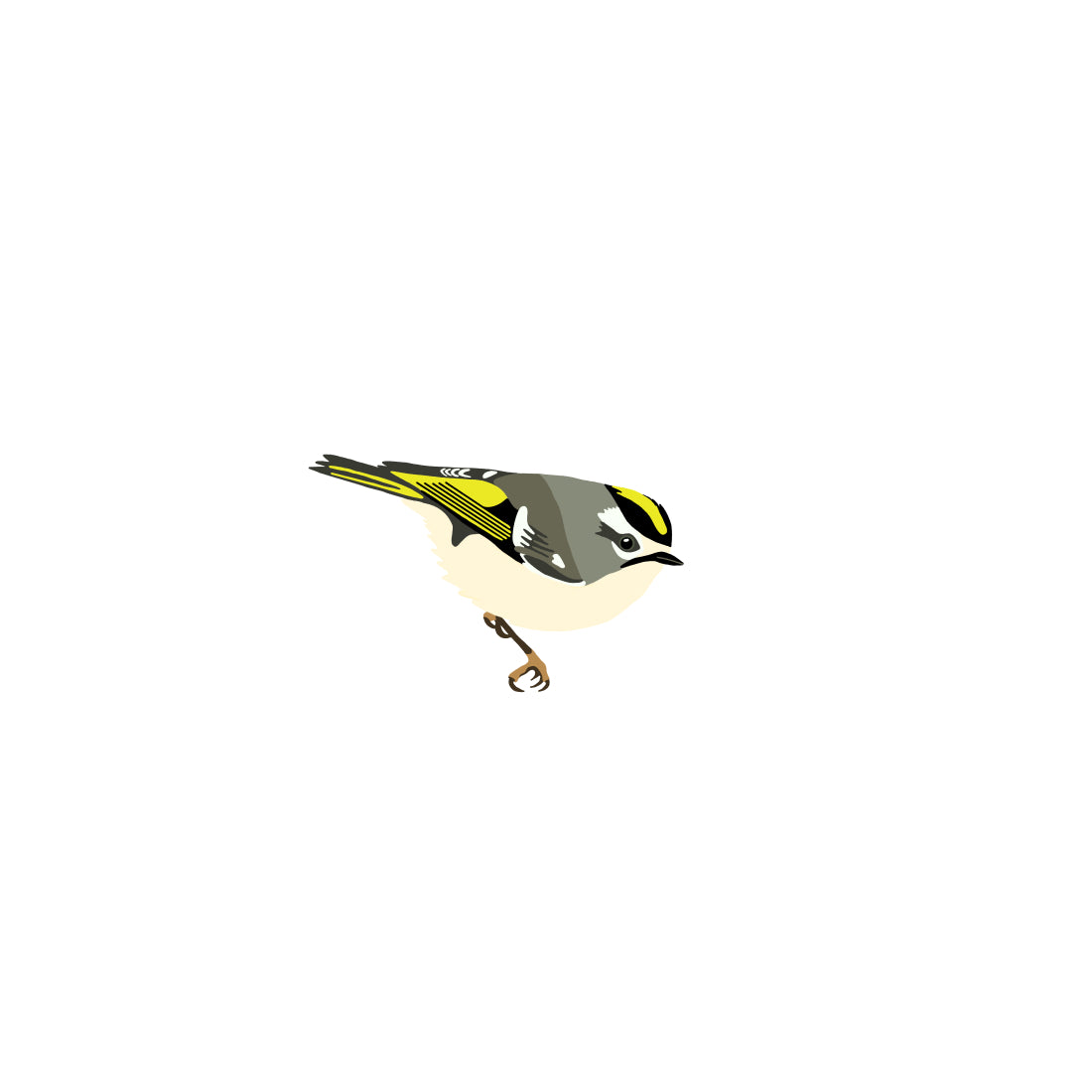 golden-crowned kinglet