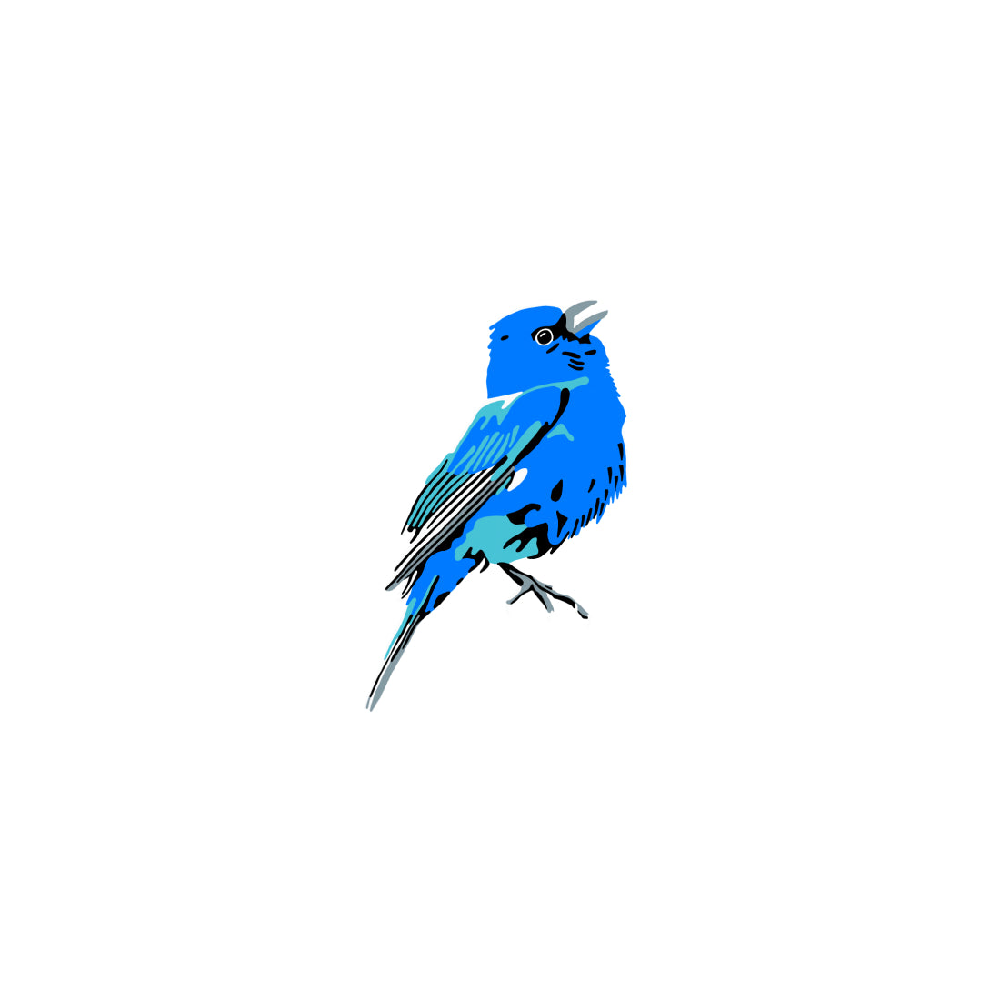 Indigo Bunting