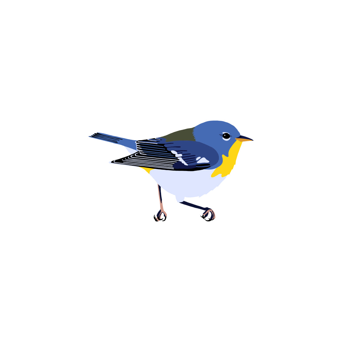 Northern Parula