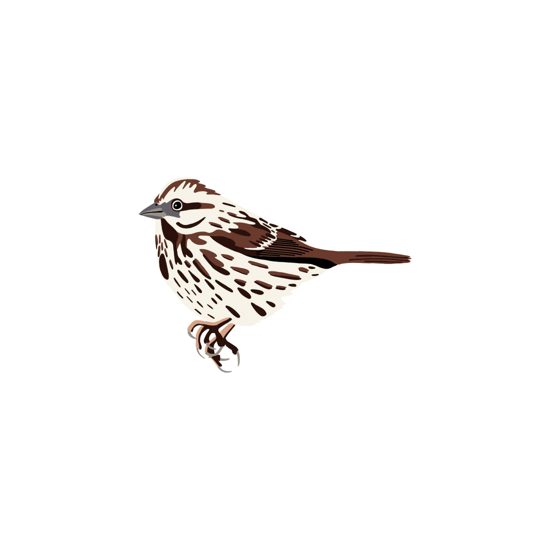 Song Sparrow