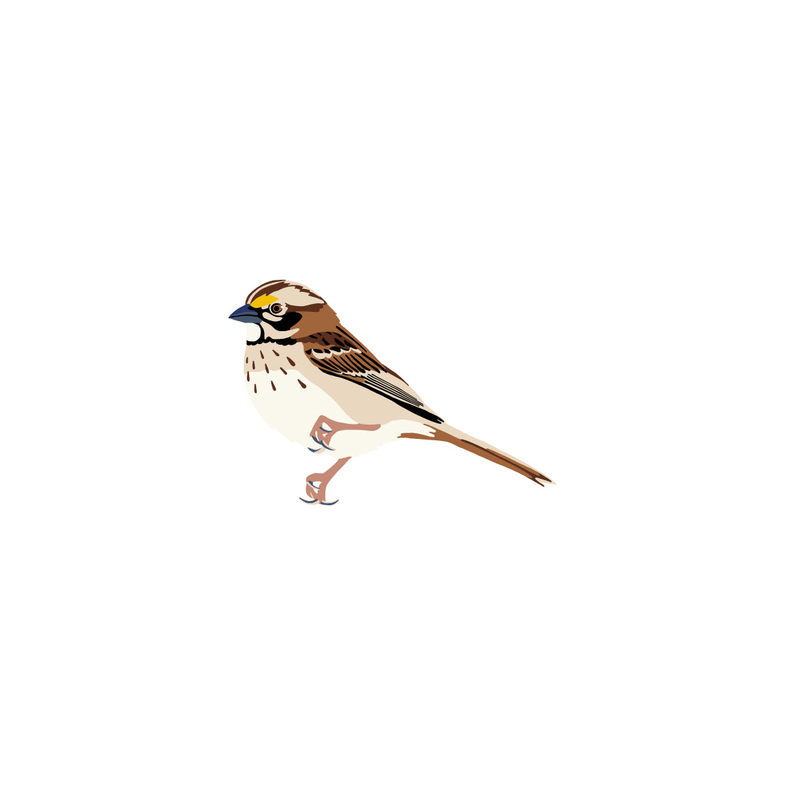White-throated Sparrow
