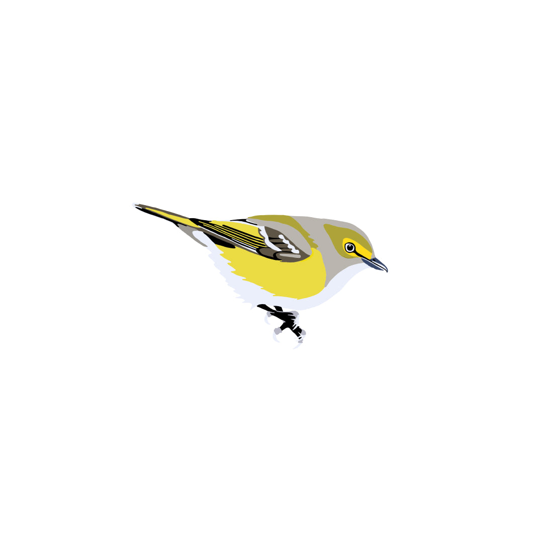 White-eyed Vireo