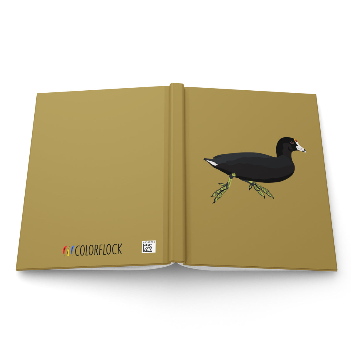 American Coot Journal