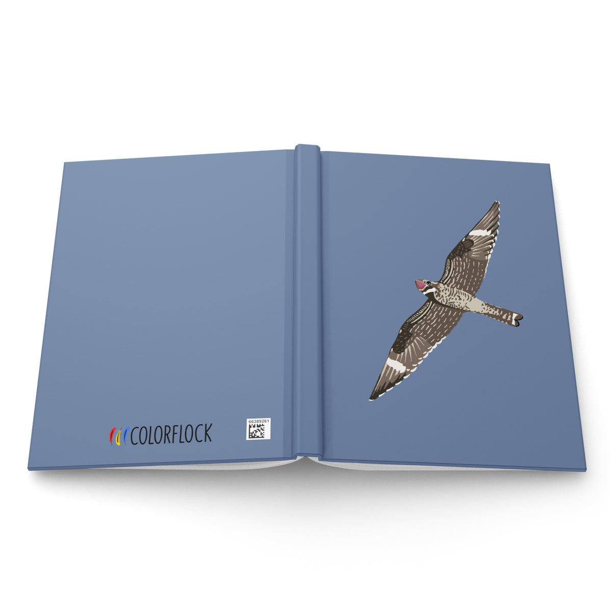 Common Nighthawk Journal