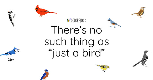 There's no such thing as "just a bird"