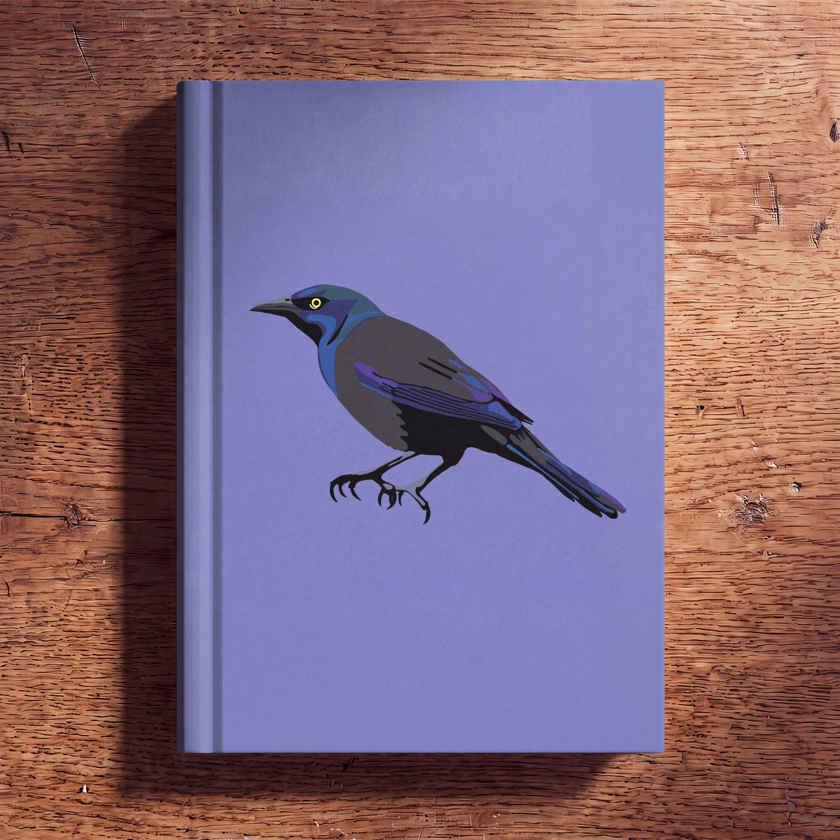 Common Grackle Journal