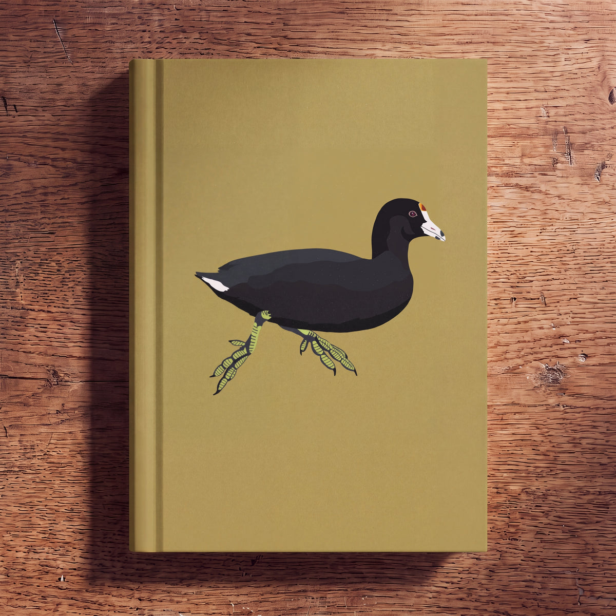 American Coot Journal
