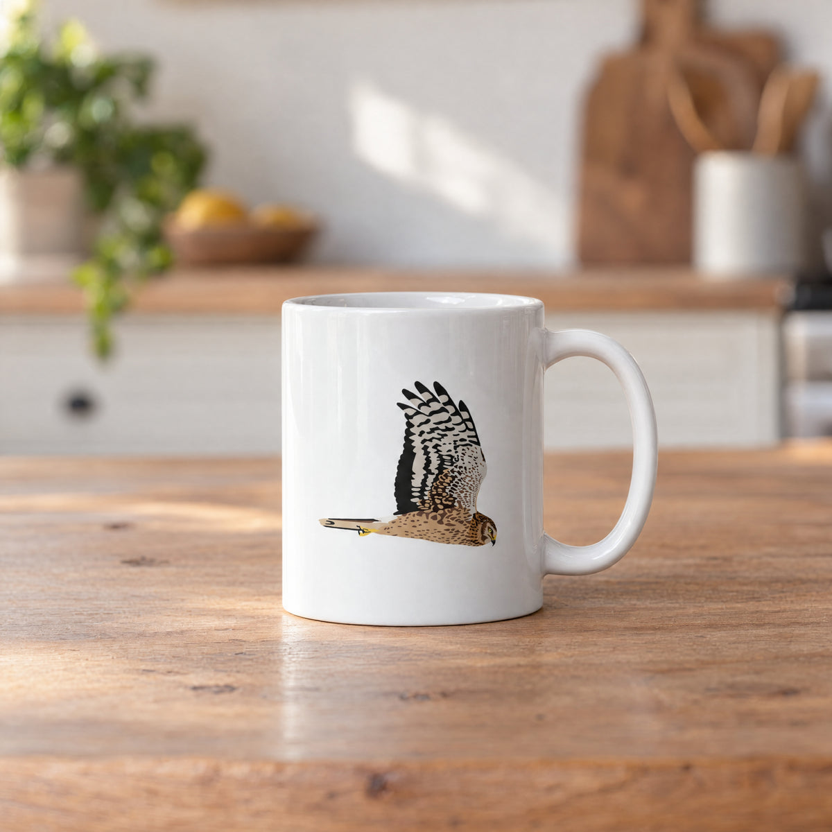 Northern Harrier Mug