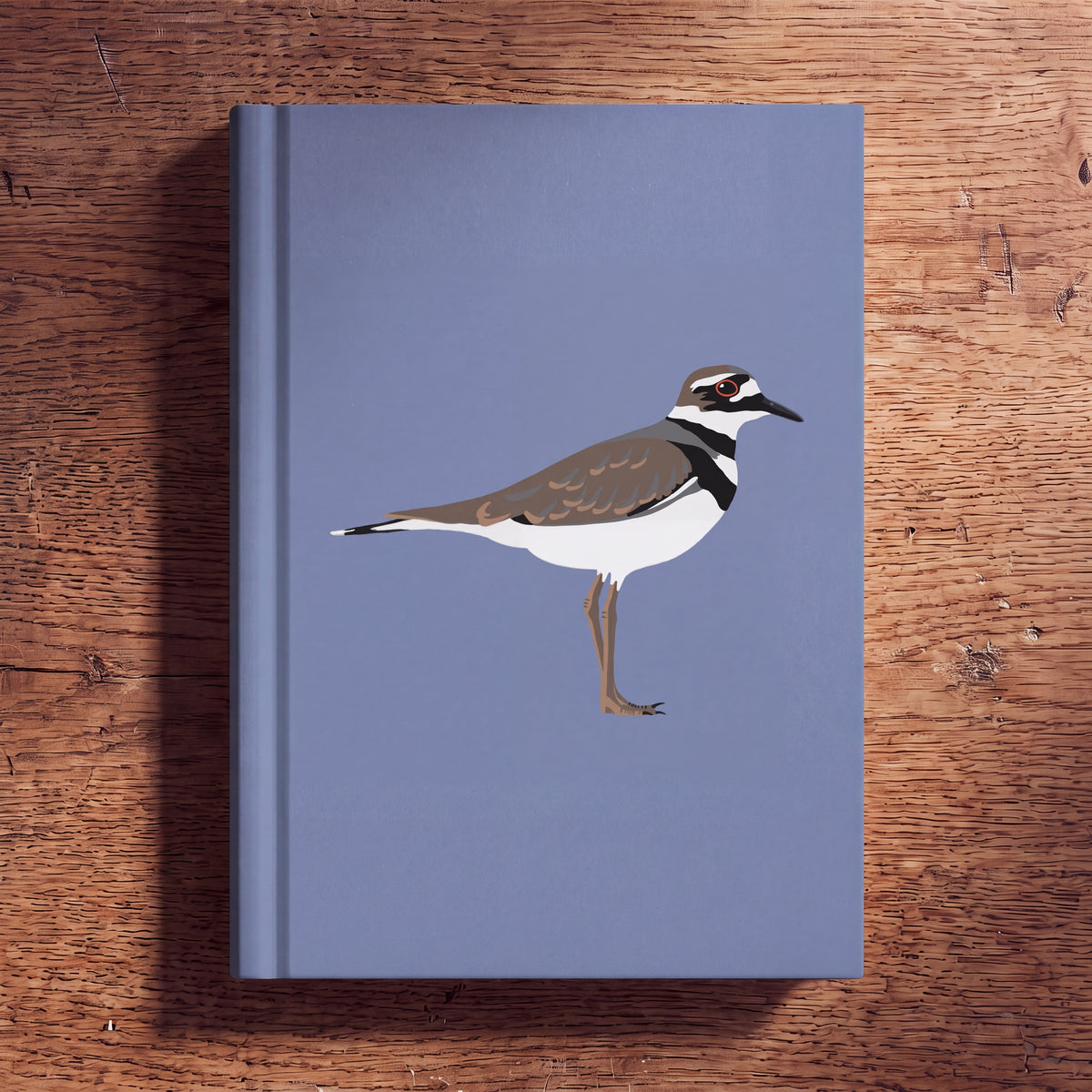 Killdeer Journal