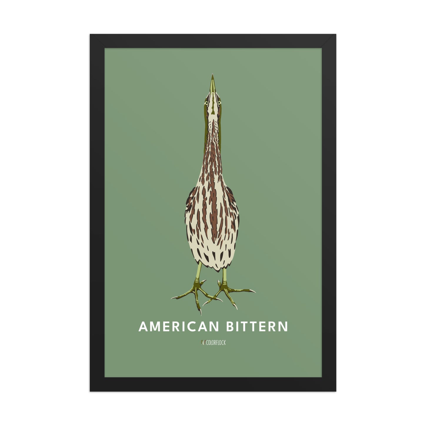 American Bittern Poster