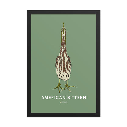 American Bittern Poster