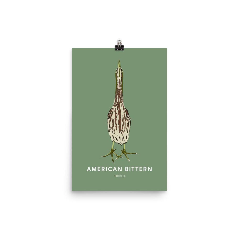 American Bittern Poster
