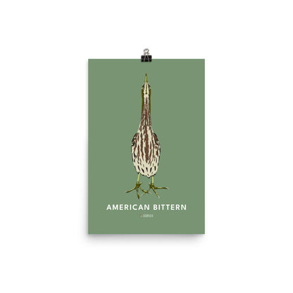 American Bittern Poster