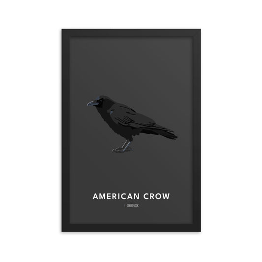 American Crow Poster