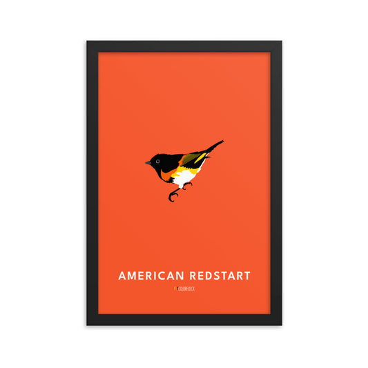 American Redstart Poster