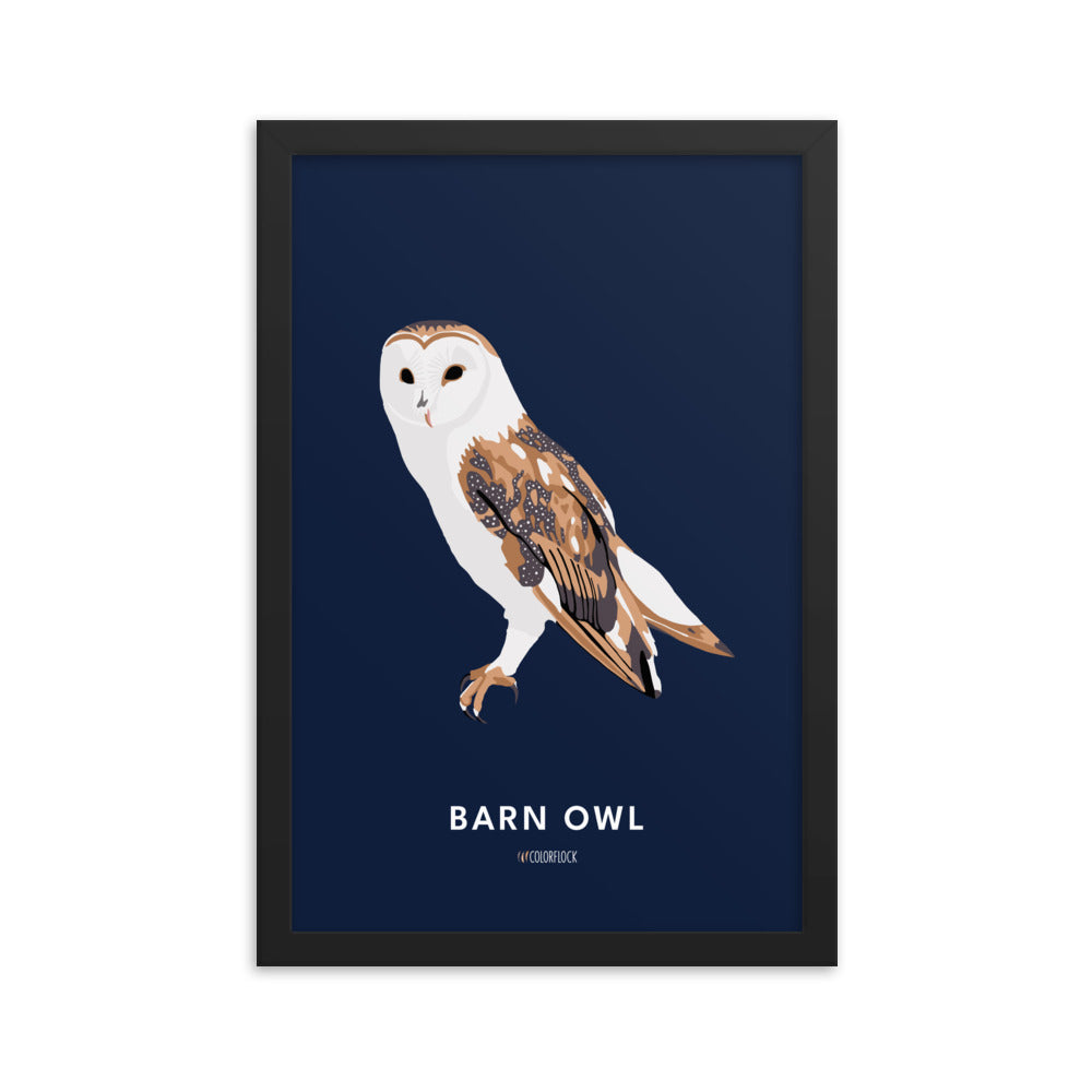 Barn Owl Poster