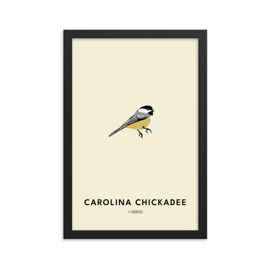 Carolina Chickadee Poster