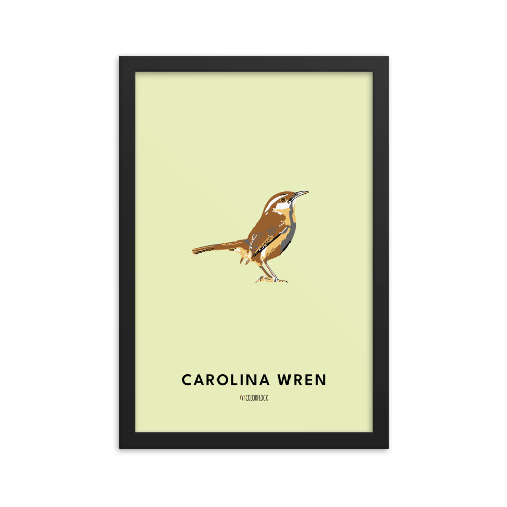 Carolina Wren Poster