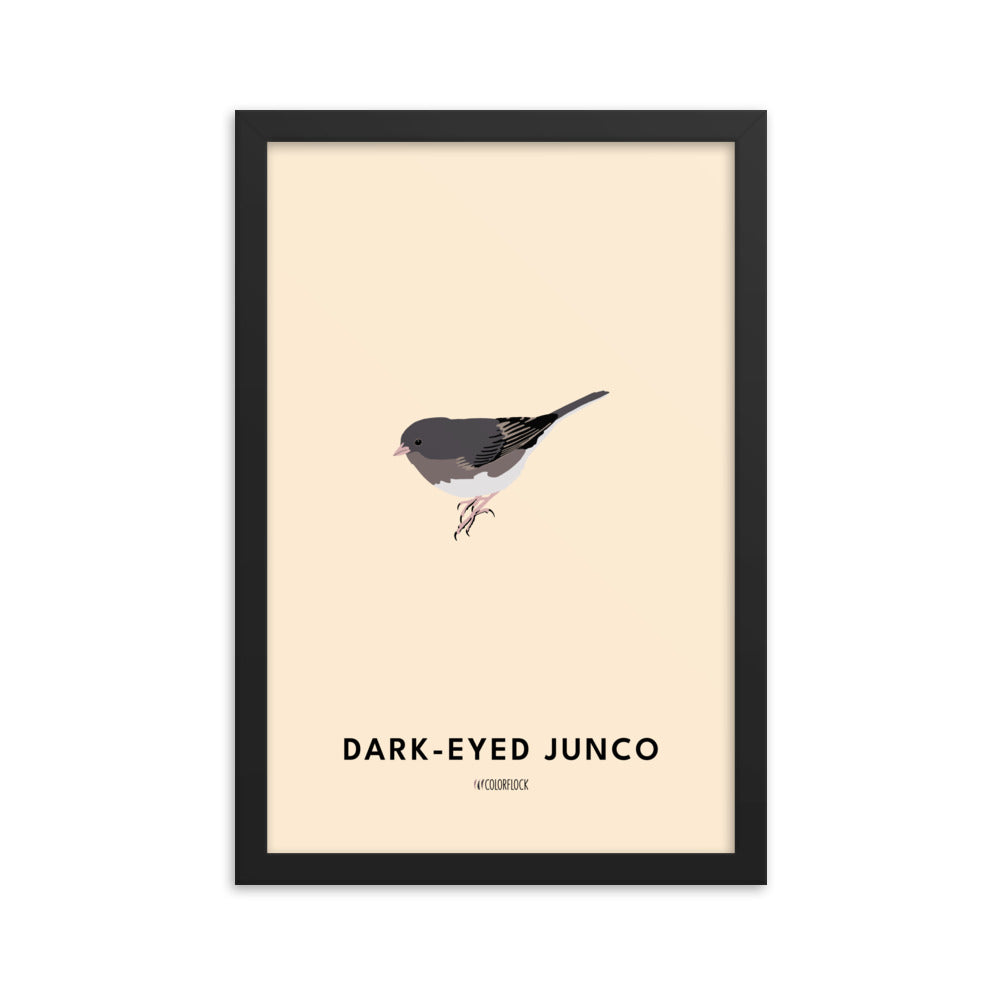 Dark-eyed Junco Poster