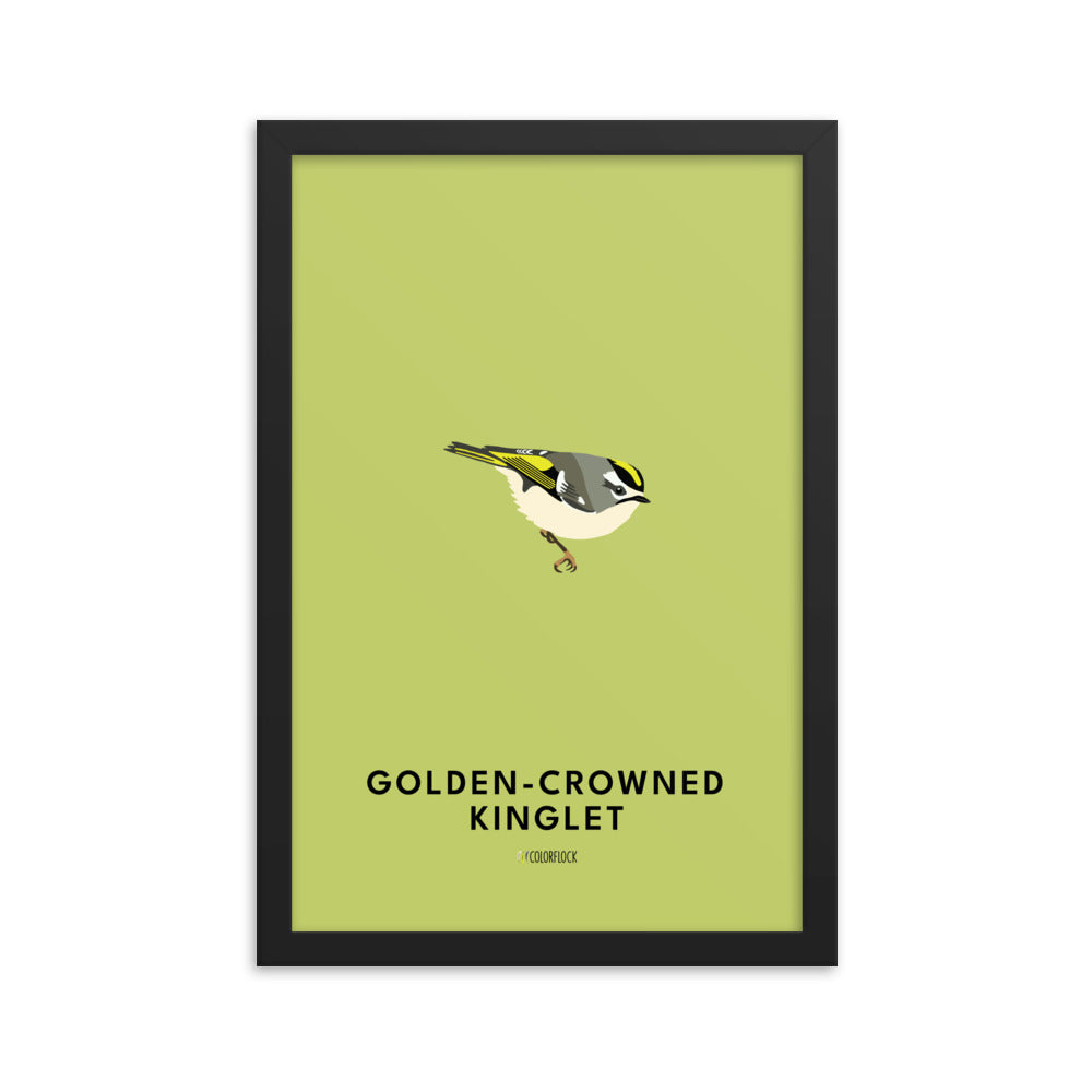 Golden-crowned Kinglet Poster