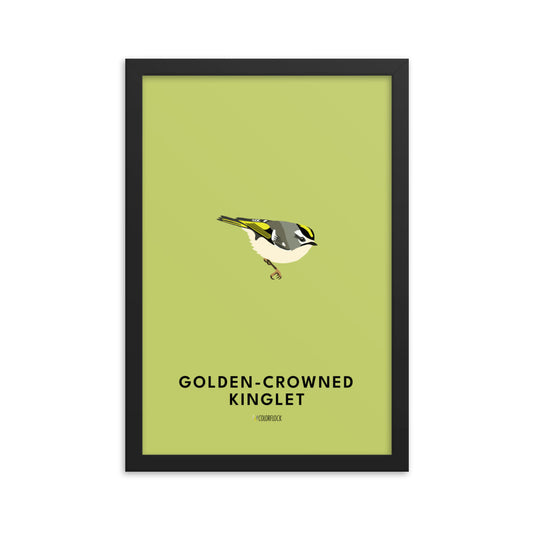 Golden-crowned Kinglet Poster