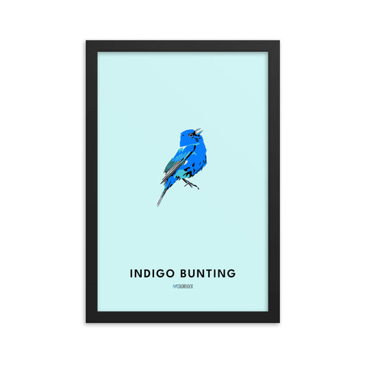 Indigo Bunting Poster