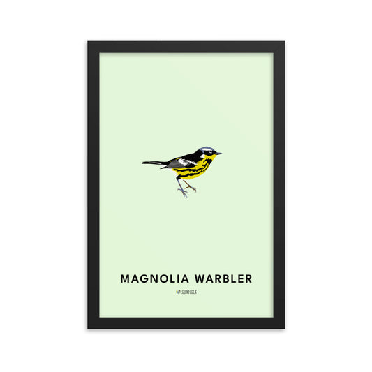 Magnolia Warbler Poster