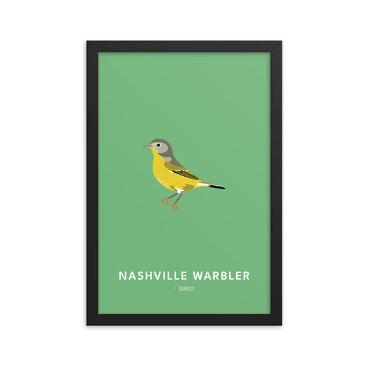Nashville Warbler Poster