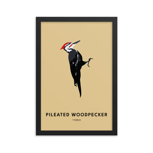 Pileated Woodpecker Poster