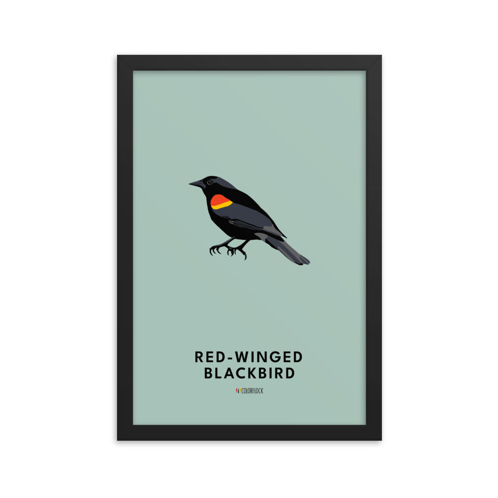 Red-winged Blackbird Poster