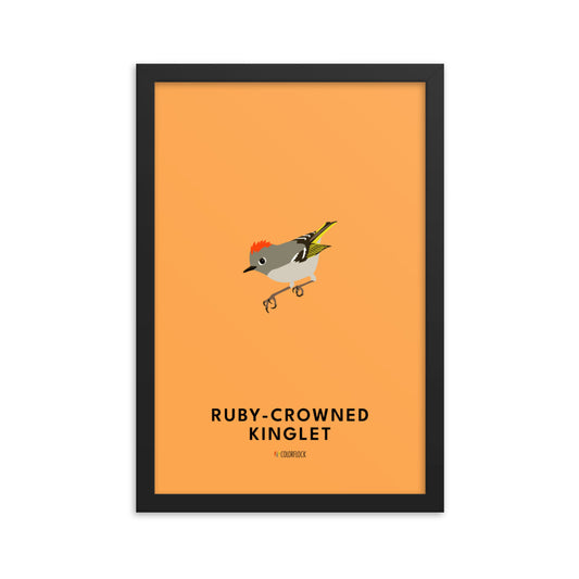 Ruby-crowned Kinglet Poster