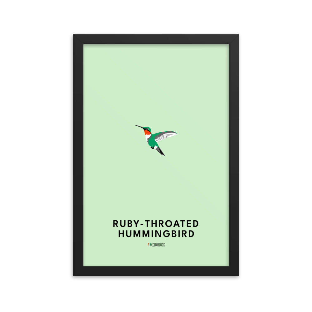 Ruby-throated Hummingbird Poster