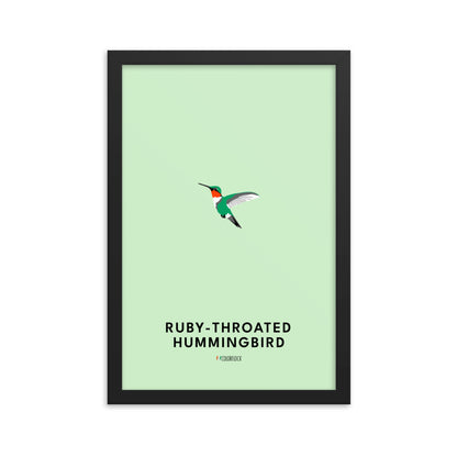 Ruby-throated Hummingbird Poster