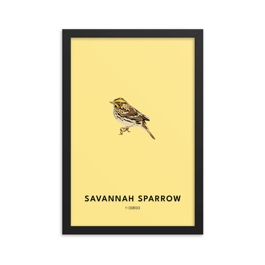 Savannah Sparrow Poster