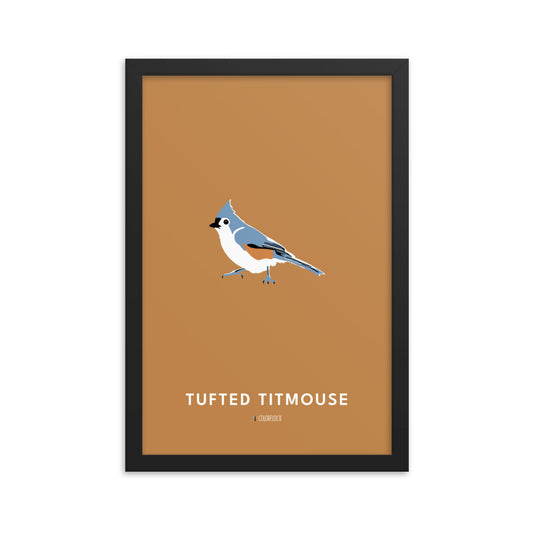 Tufted Titmouse Poster