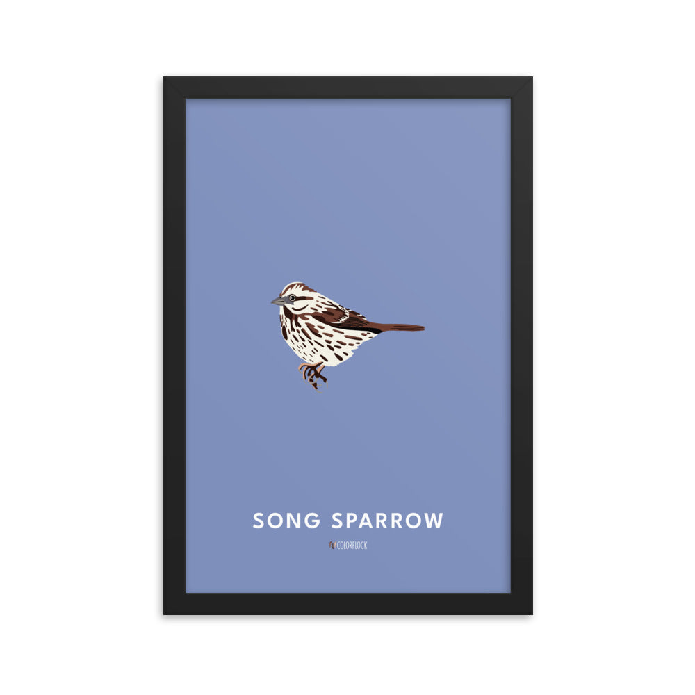 Song Sparrow Poster