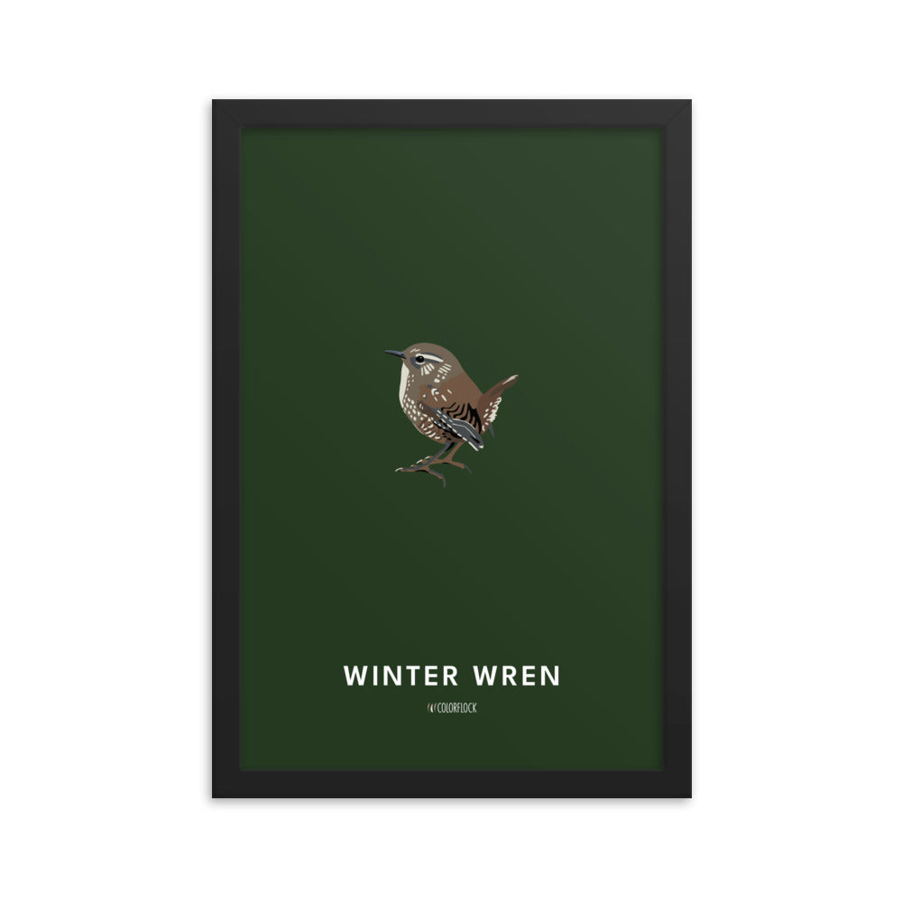 Winter Wren Poster