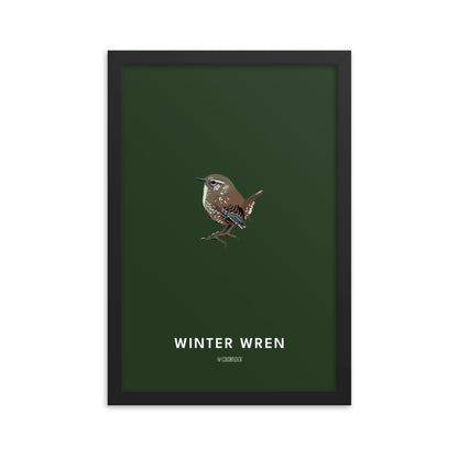 Winter Wren Poster