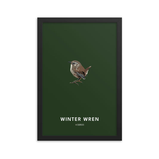 Winter Wren Poster