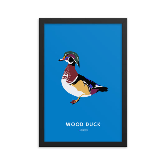 Wood Duck Poster