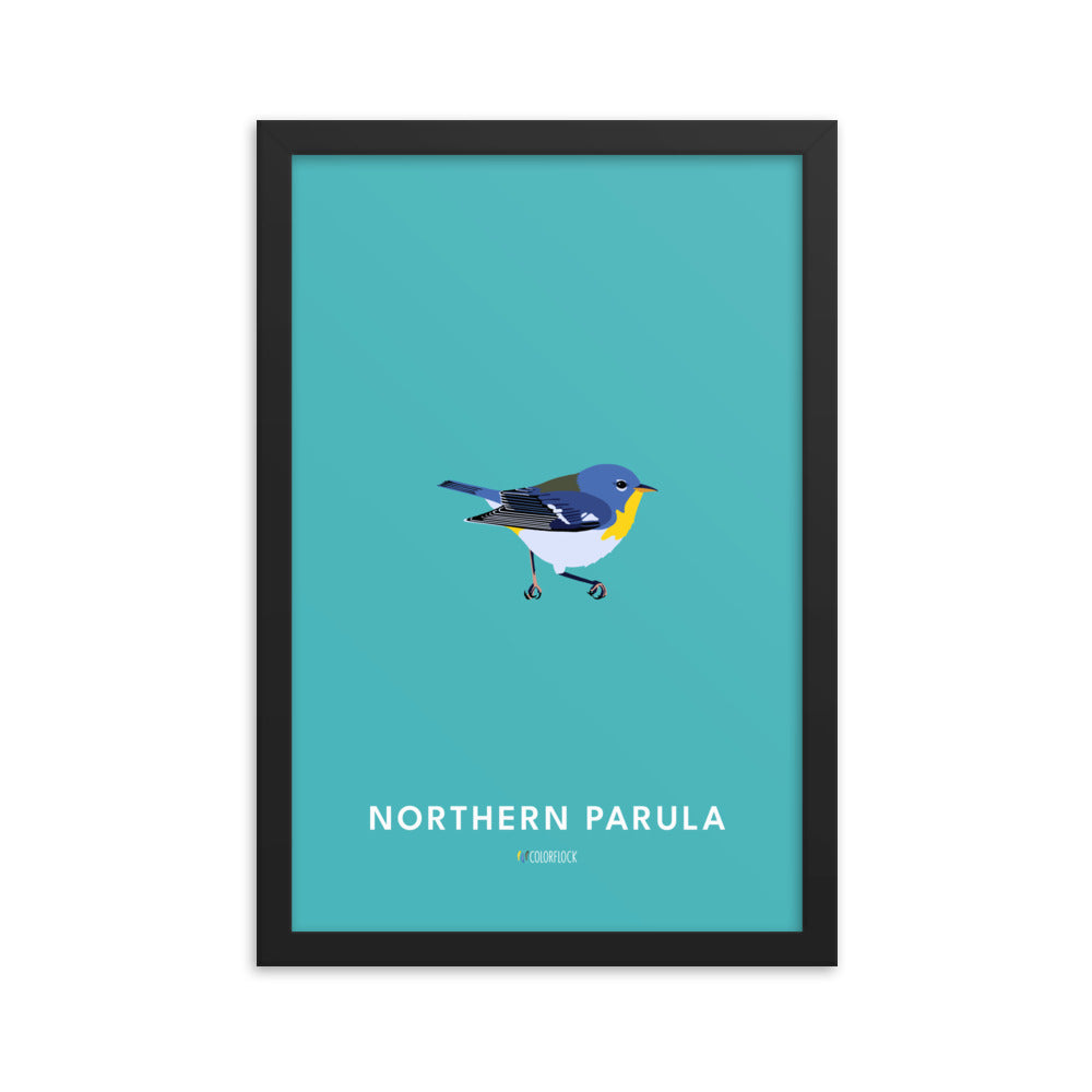 Northern Parula Poster