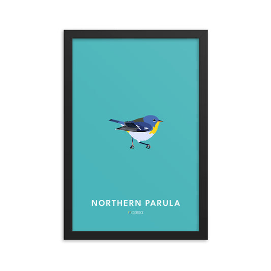 Northern Parula Poster